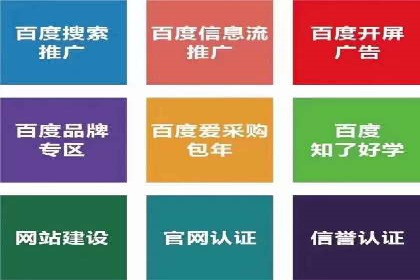 百度推广代运营成功案例解析